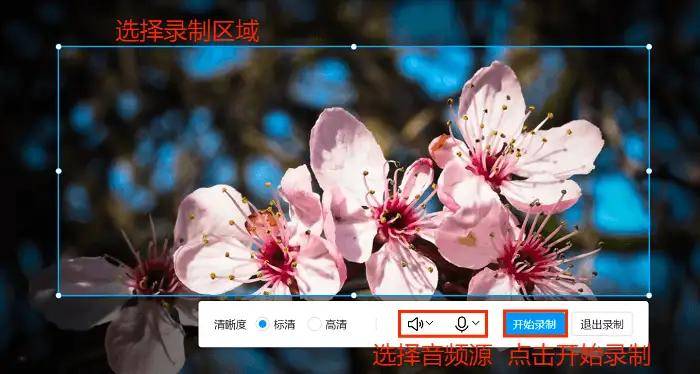 录制屏幕怎么设置？5款软件的设置步骤，进来学习！