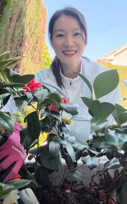 原创            林丹国内赚钱，儿子国外求学，妻子美酒美食，豪宅生活惬意